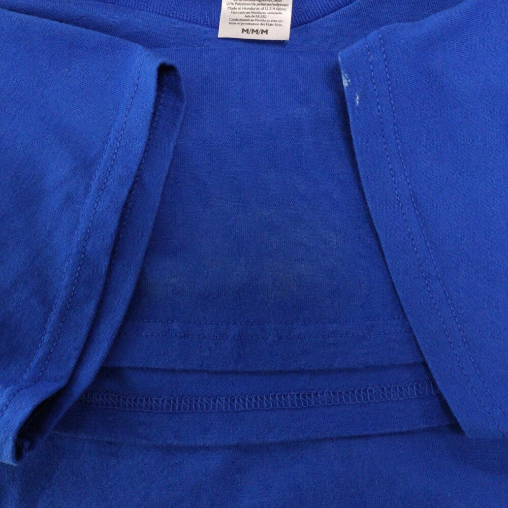VINTAGE(ヴィンテージ) VINTAGE SWE プリント半袖Tシャツ ブルー