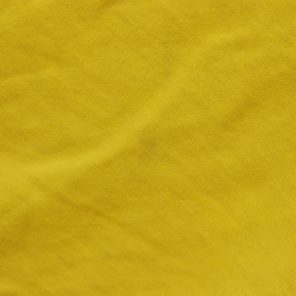CELINE(セリーヌ) 22SS Scott Daniel Elliso スコットダニエルエリソン プリント 半袖Tシャツ カットソー イエロー 2X994671Q
