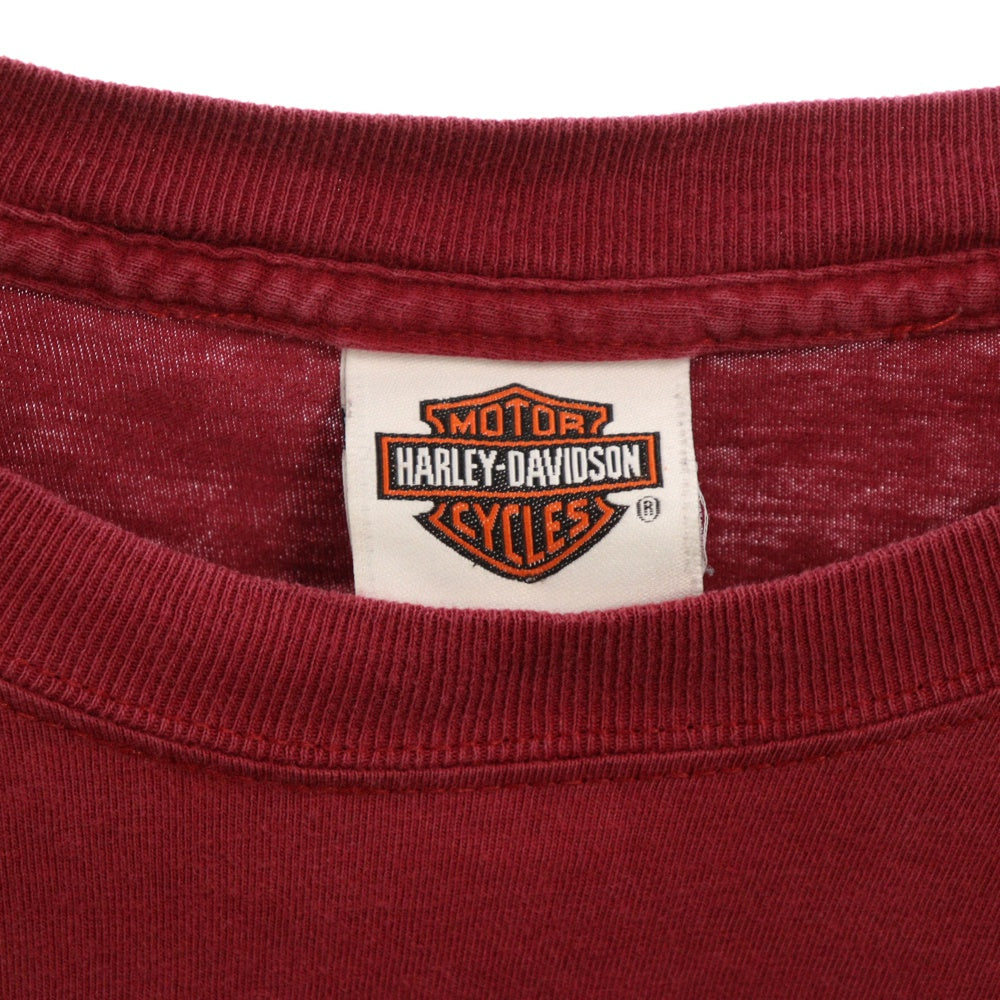 HARLEY DAVIDSON(ハーレーダビッドソン) テキサス スリーブロゴプリント長袖Tシャツ レッド