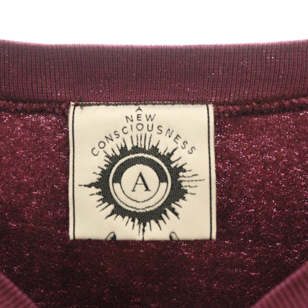 VINTAGE(ヴィンテージ) 90s ANARCHIC ADJUSTMENT アナーキックアジャストメント エイリアン刺繍 クルーネックスウェットトレーナー バーガンディ