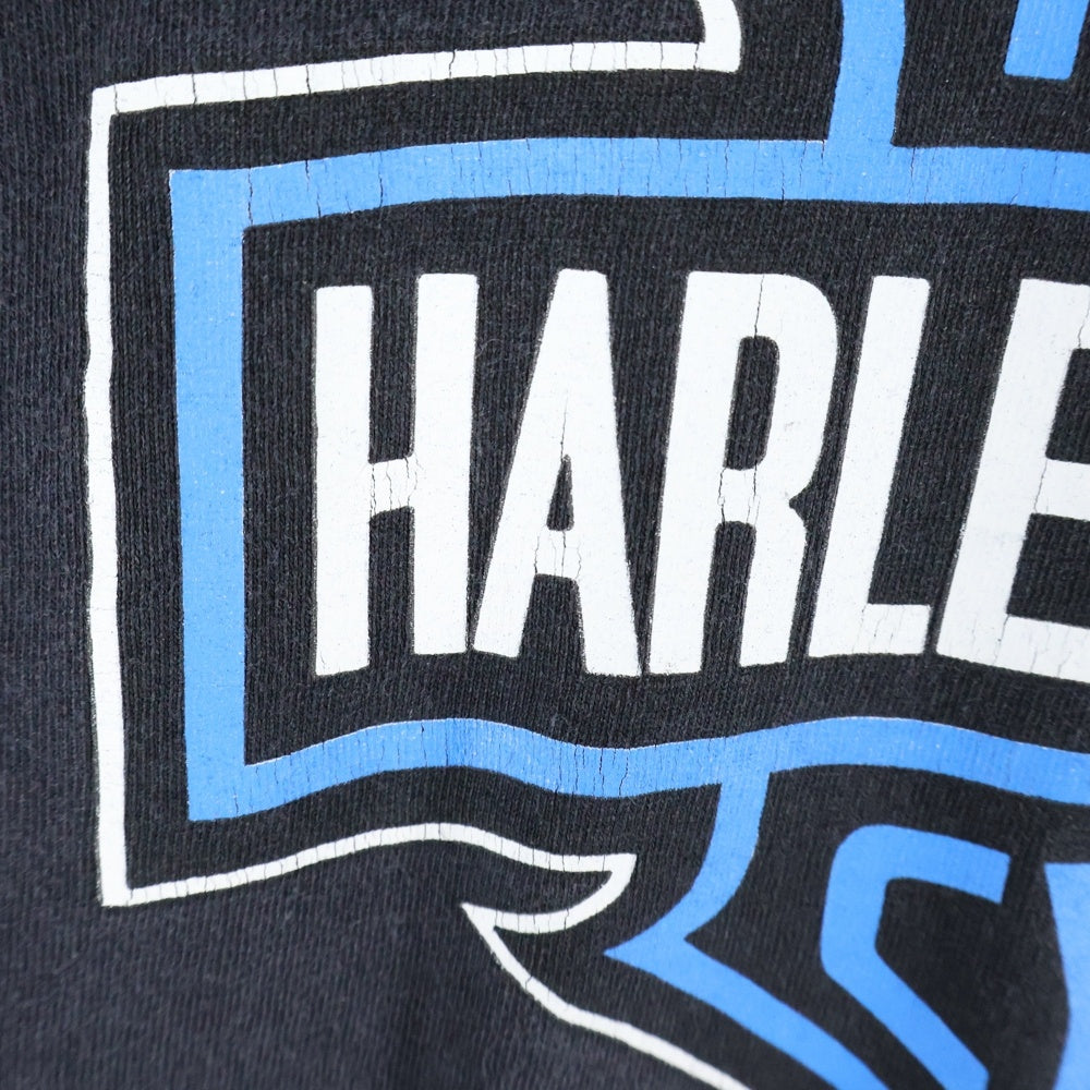 HARLEY DAVIDSON(ハーレーダビッドソン) Bar&Shield Flames L/S TEE バーアンドシールド フレイムス 袖ファイヤー 長袖Tシャツ クルーネックカットソー ブラック/ブルー