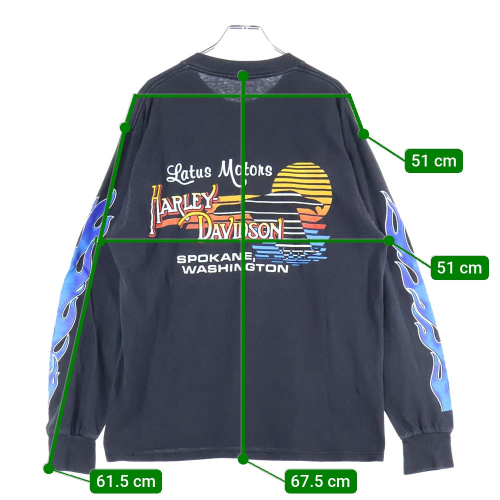 HARLEY DAVIDSON(ハーレーダビッドソン) Bar&Shield Flames L/S TEE バーアンドシールド フレイムス 袖ファイヤー 長袖Tシャツ クルーネックカットソー ブラック/ブルー