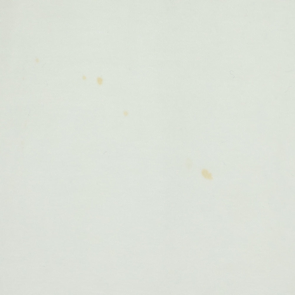 lucien pellat-finet(ルシアンペラフィネ) バックスカルプリント クルーネック半袖Tシャツ カットソー ホワイト