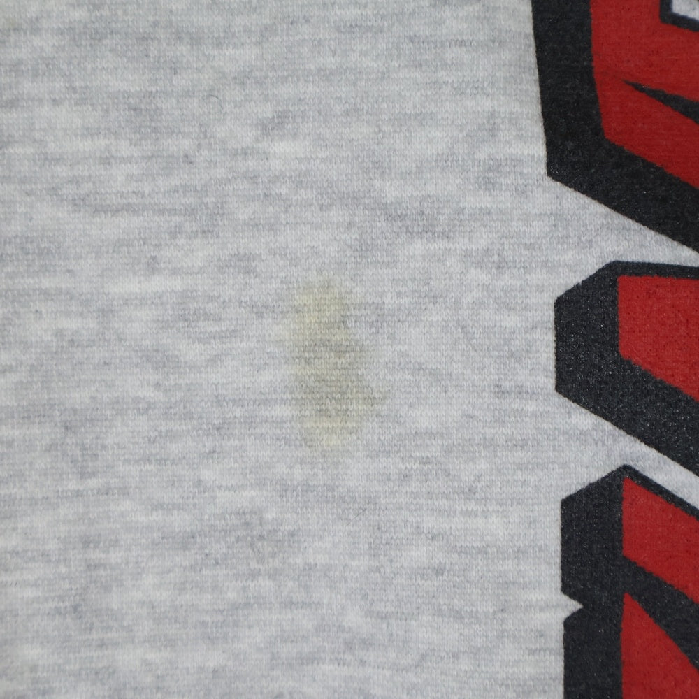 SANTA CRUZ(サンタクルーズ) 90s Logo Sweat Shirt ロゴ スウェットシャツ グレー