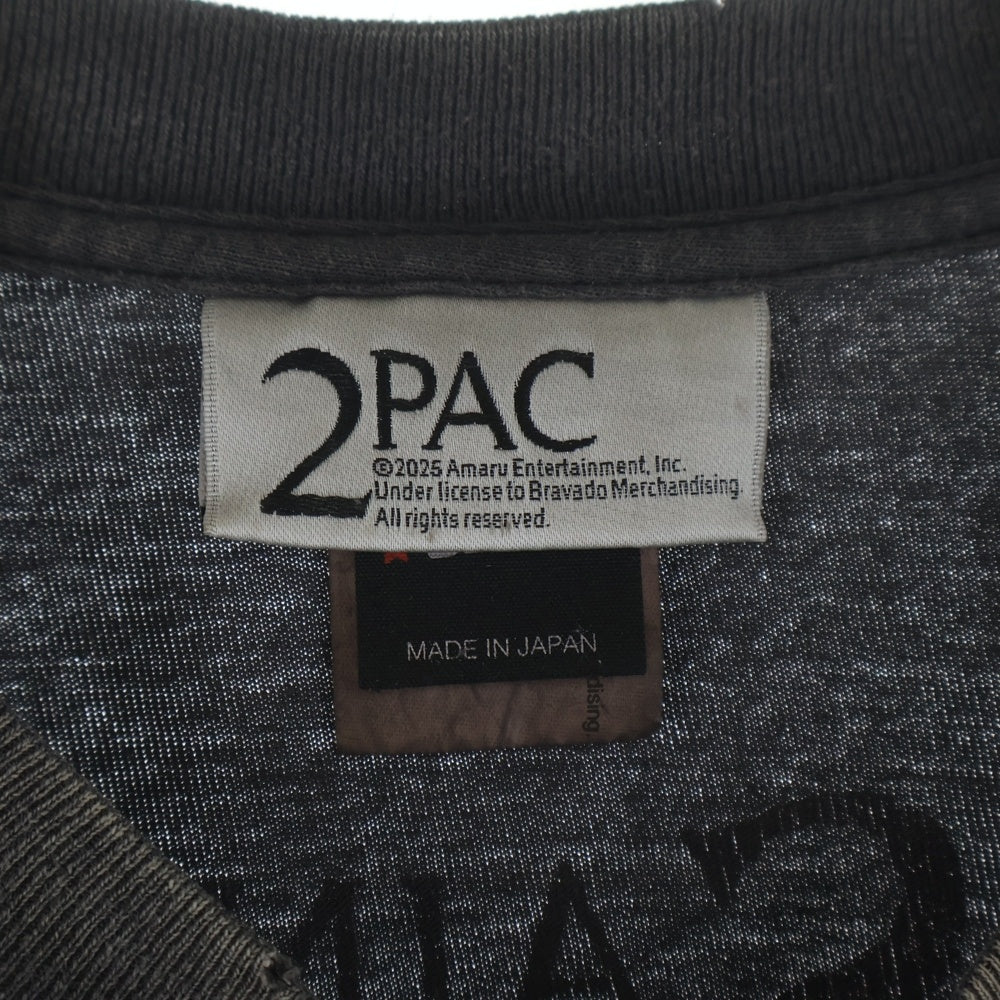 SAINT MICHAEL(セントマイケル) 25SS 2PAC 2PC SS TEE ダメージ加工 半袖Tシャツ グレー SM-HR8-0000-C14