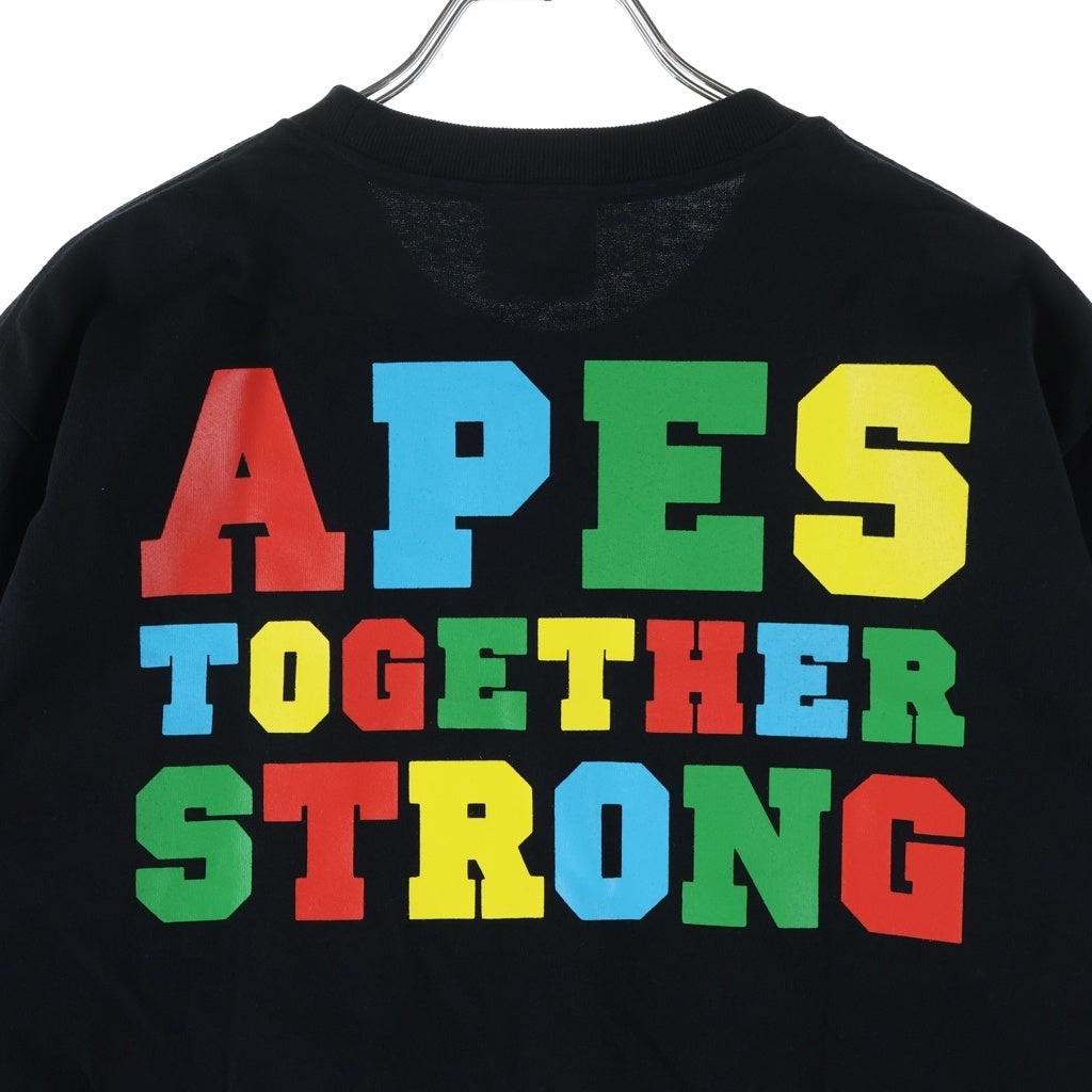 A BATHING APE(アベイシングエイプ) COLORS COLLEGE ATS TEE 1M30-110-028 カラーズ カレッジTシャツ 半袖カットソー ブラック