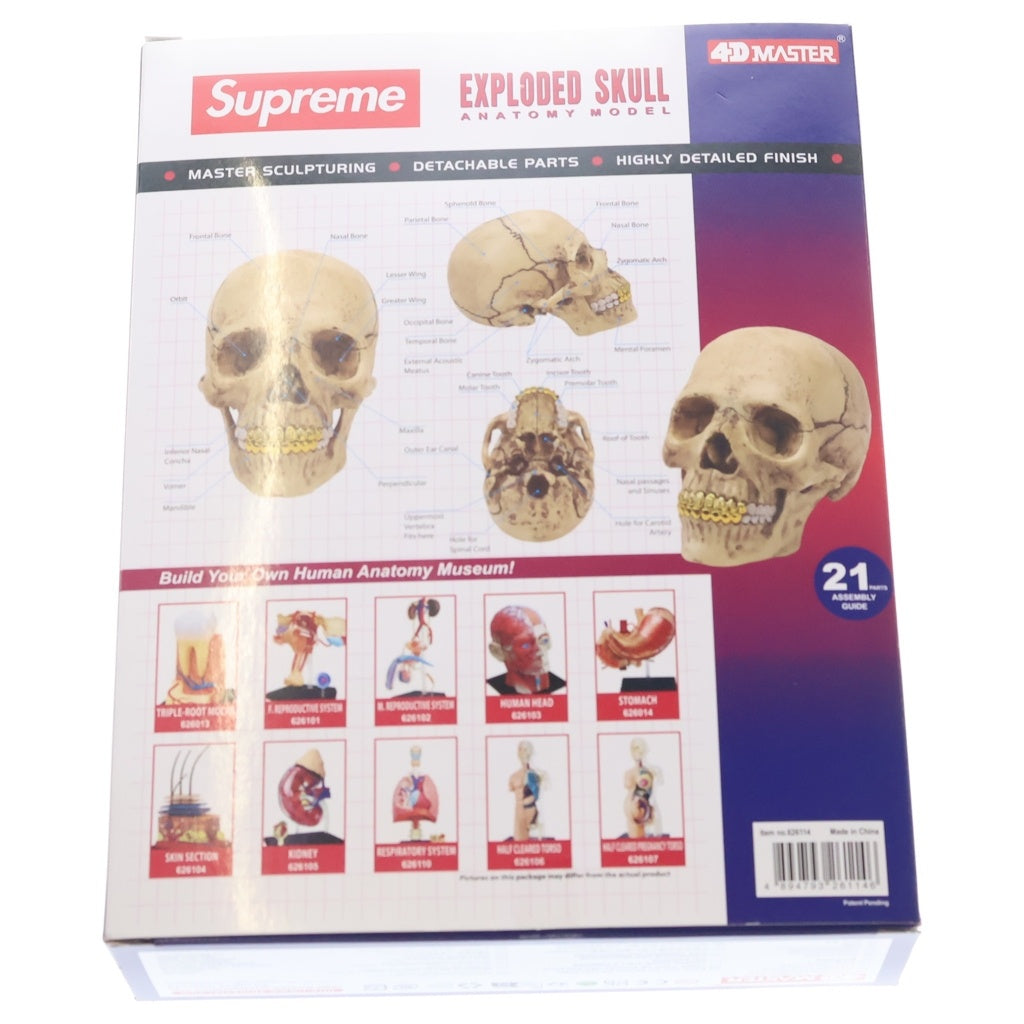 SUPREME(シュプリーム) 23AW 4D Model Human Skull Natural 4Dモデル 頭蓋骨模型パズル フィギュア ベージュ