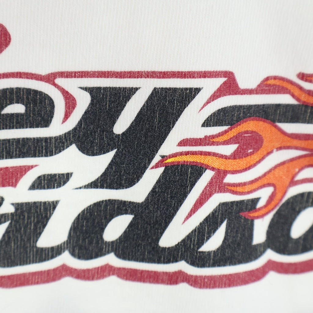 VINTAGE(ヴィンテージ) 00S Harley-Davidson Flame Pattern L/S T-Shirt ハーレーダビッドソン フレイムパターン 長袖Tシャツ ロンT ホワイト
