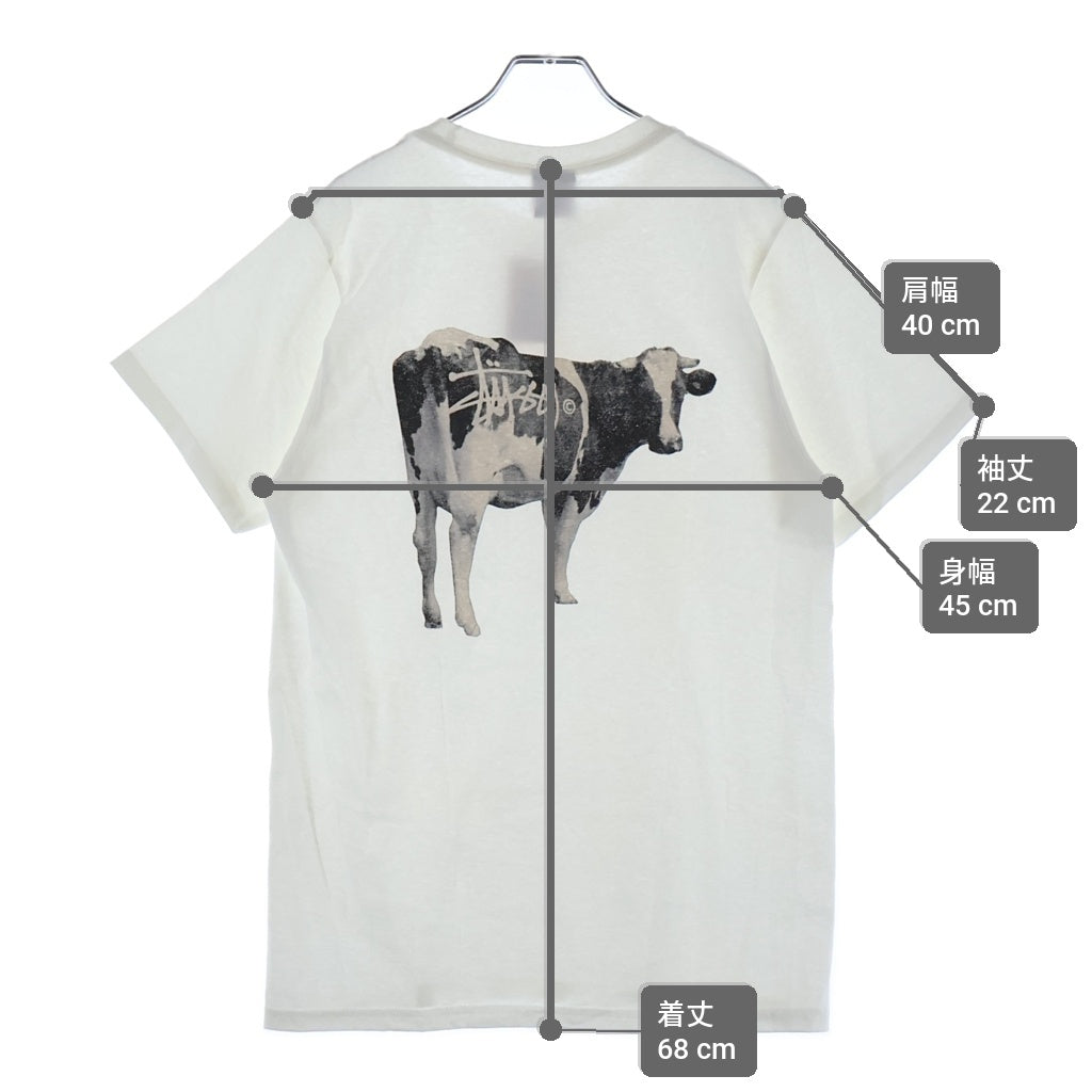 STUSSY(ステューシー) CRASSFED TEE 1905046 グラスフェッド プリントクルーネック半袖Tシャツ カットソー ホワイト