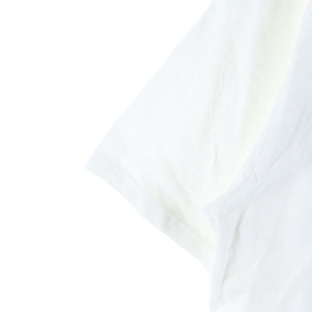 STUSSY(ステューシー) 26SS Big Dog Stone Washed Tee ビッグドッグ ストーン ウォッシュド 半袖Tシャツ ホワイト