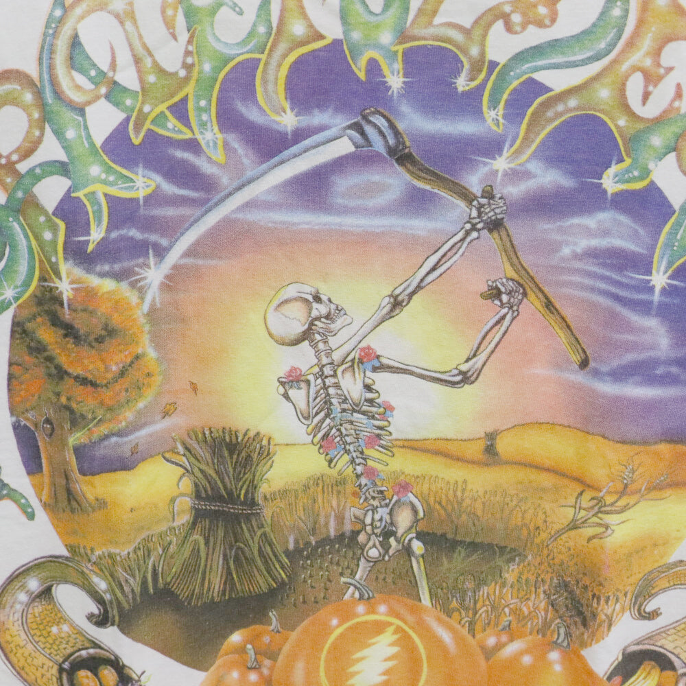 VINTAGE(ヴィンテージ) 90s GRATEFUL DEAD FALL TOUR 1994 TEE グレイトフルデッド 両面プリント半袖Tシャツ カットソー ホワイト