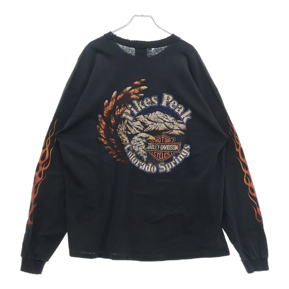HARLEY DAVIDSON(ハーレーダビッドソン) 90-00s 袖フレーム 両面プリント長袖Tシャツ 長袖カットソー ブラック