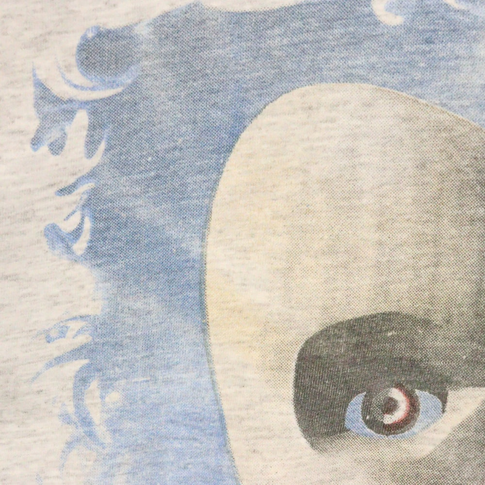 VINTAGE(ヴィンテージ) 90s PINK FLOYD NORTH AMERICAN TOUR 1994 TEE ピンクフロイド 両面プリント半袖Tシャツ カットソー グレー