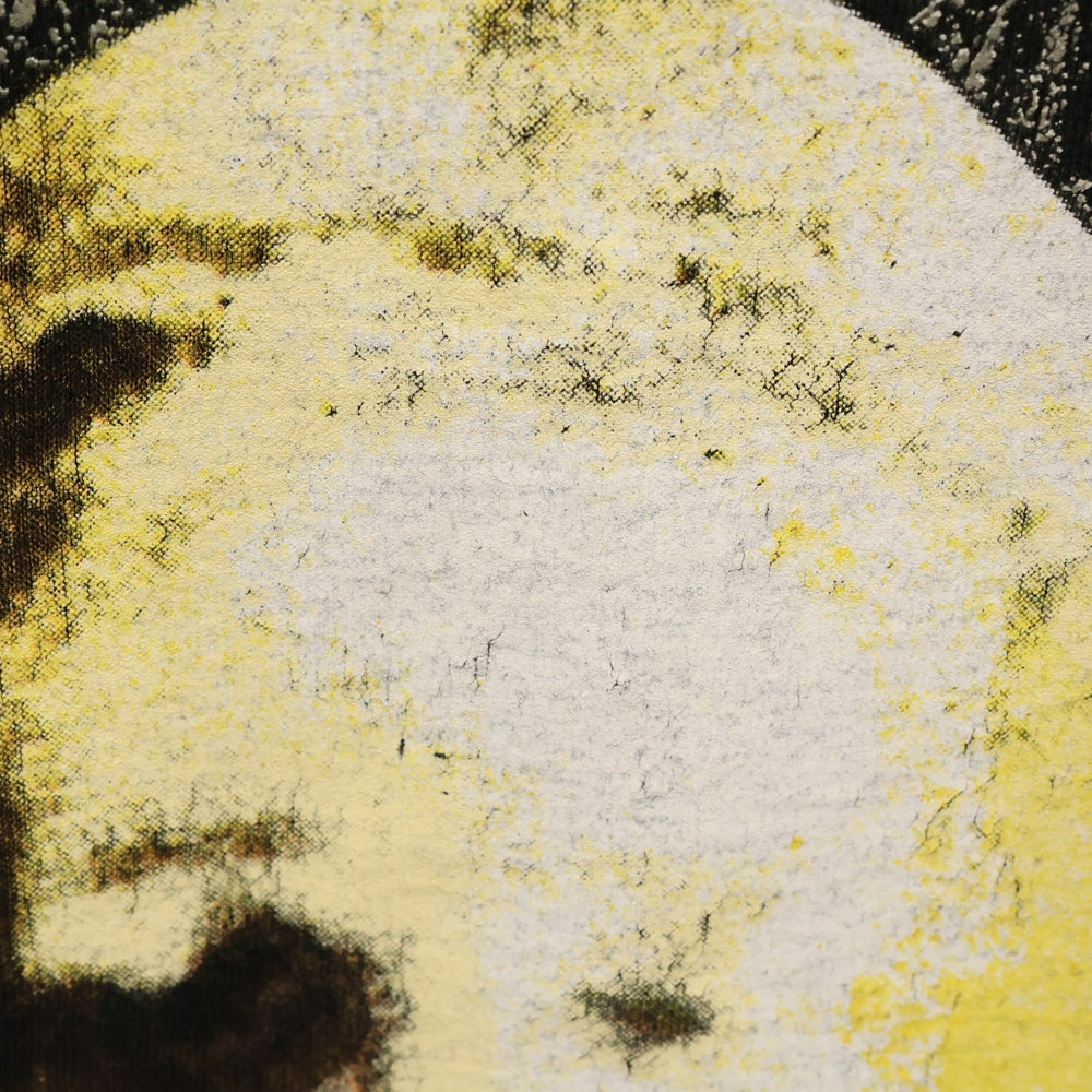 VINTAGE(ヴィンテージ) 90s THE JESUS AND MARY CHAIN HONEY'S TEE ジーザス&メリーチェイン バンド 両面プリント半袖Tシャツ カットソー ブラック