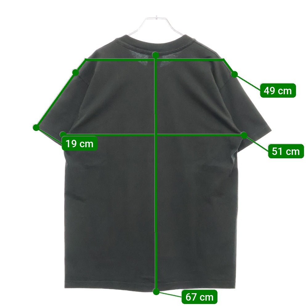 VINTAGE(ヴィンテージ) 90s RED HOT CHILI PEPPERS 1993 THERMOGRAPHY レッドホットチリペッパーズ サーモグラフィー プリント半袖Tシャツ カットソー ブラック