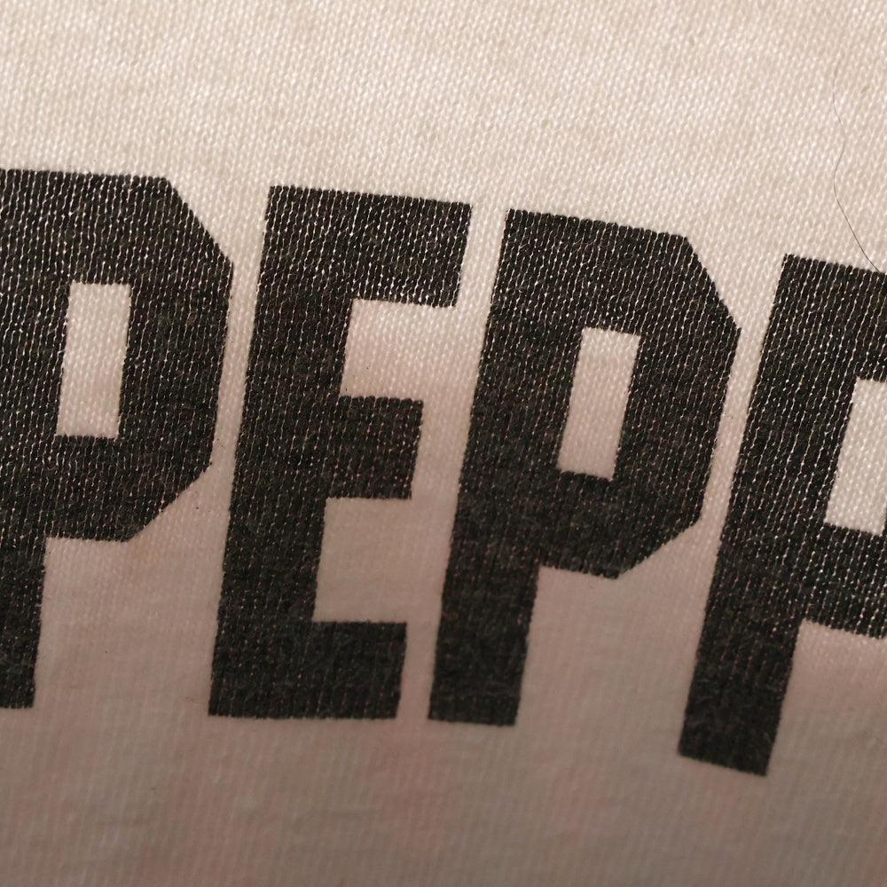 VINTAGE(ヴィンテージ) 90s RED HOT CHILI PEPPERS Californication レッドホットチリペッパーズ カリフォルニケイション ラグランスリーブ Tシャツ 長袖カットソー ホワイト/レッド