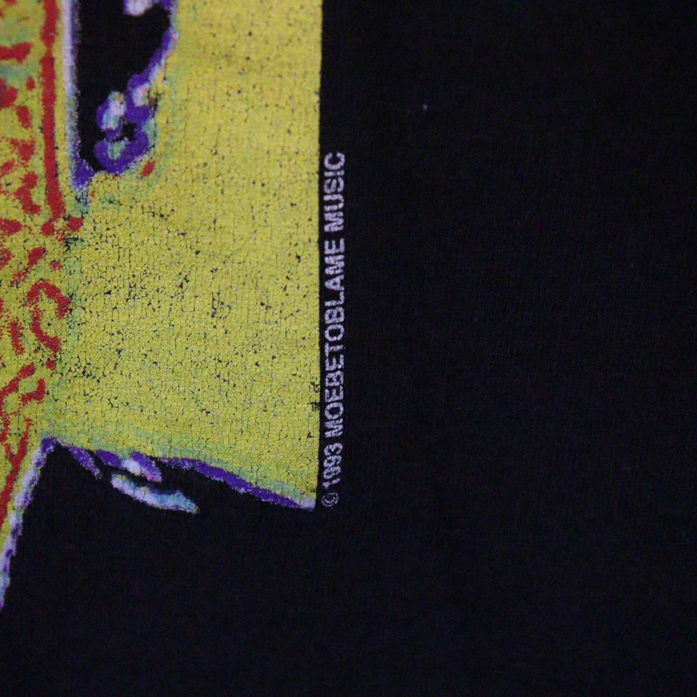 VINTAGE(ヴィンテージ) 90s RED HOT CHILI PEPPERS 1993 THERMOGRAPHY TEE レッドホットチリペッパーズ フロントプリント半袖Tシャツ カットソー ブラック