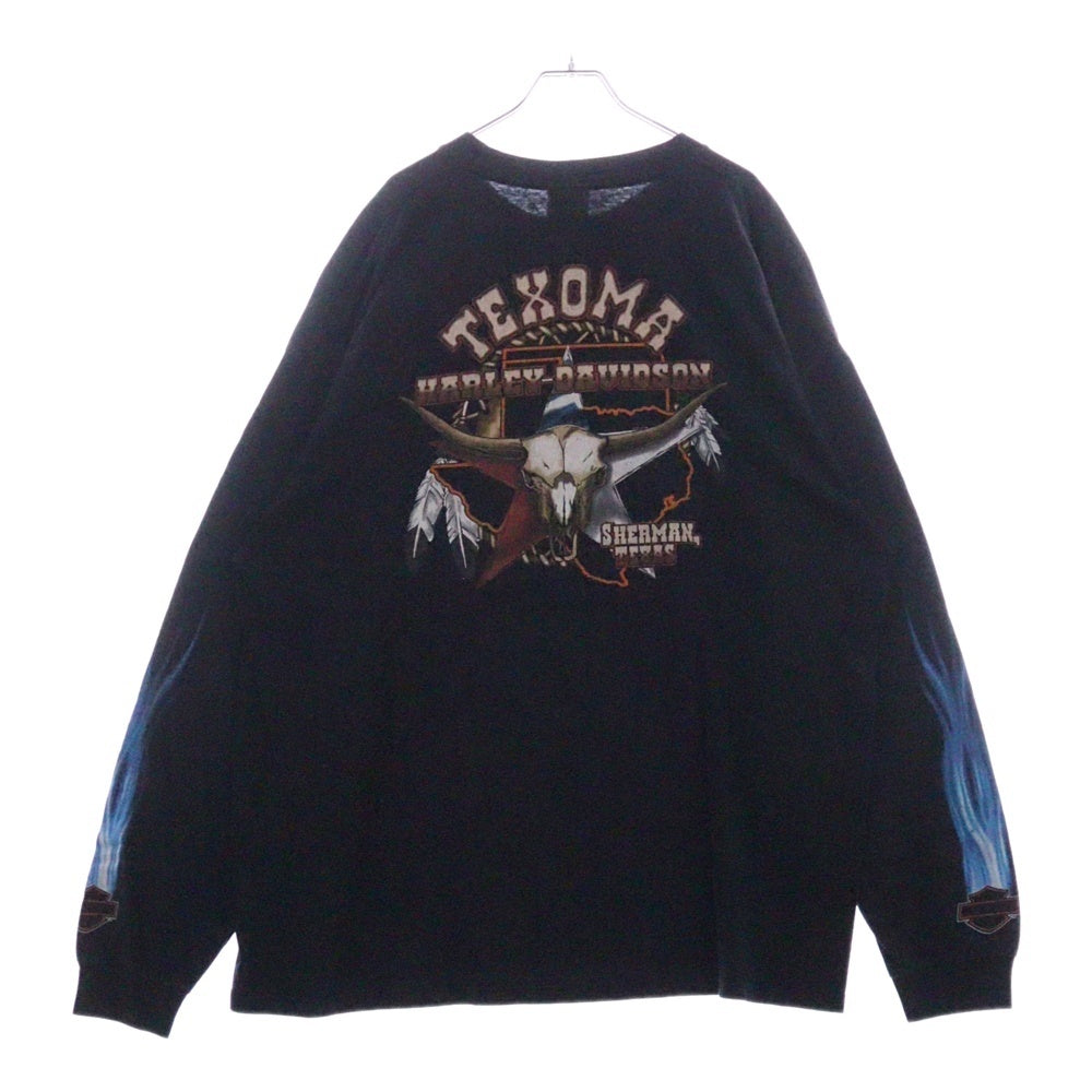 VINTAGE(ヴィンテージ) 00s HARLEY DAVIDSON TEXOMA L/S TEE ハーレーダビッドソン ロンT Tシャツ 長袖カットソー ブラック
