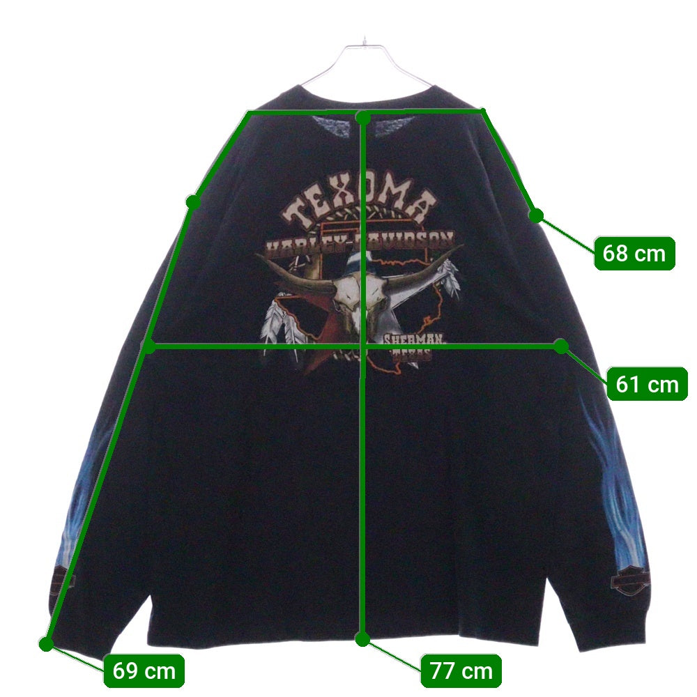 VINTAGE(ヴィンテージ) 00s HARLEY DAVIDSON TEXOMA L/S TEE ハーレーダビッドソン ロンT Tシャツ 長袖カットソー ブラック