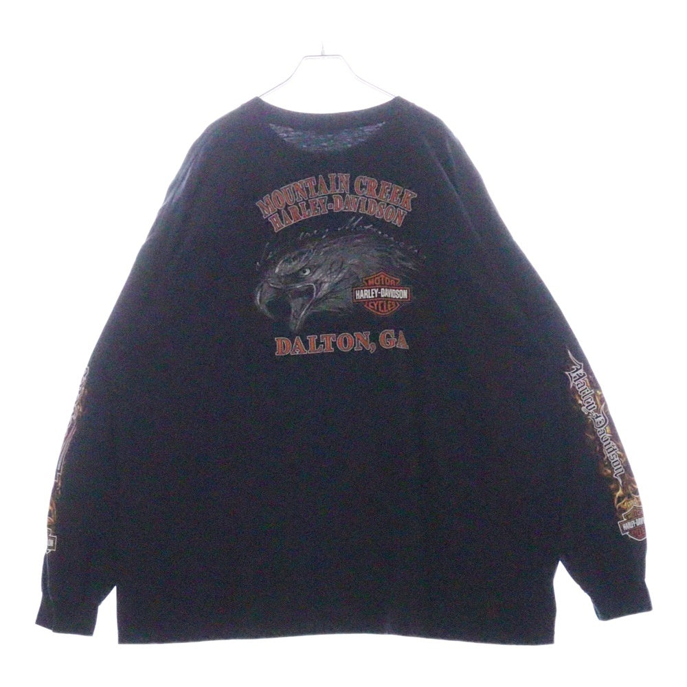 VINTAGE(ヴィンテージ) 00s HARLEY DAVIDSON MOUNTAIN CREEK DALTON L/S TEE ハーレーダビッドソン ロンT Tシャツ 長袖カットソー ブラック