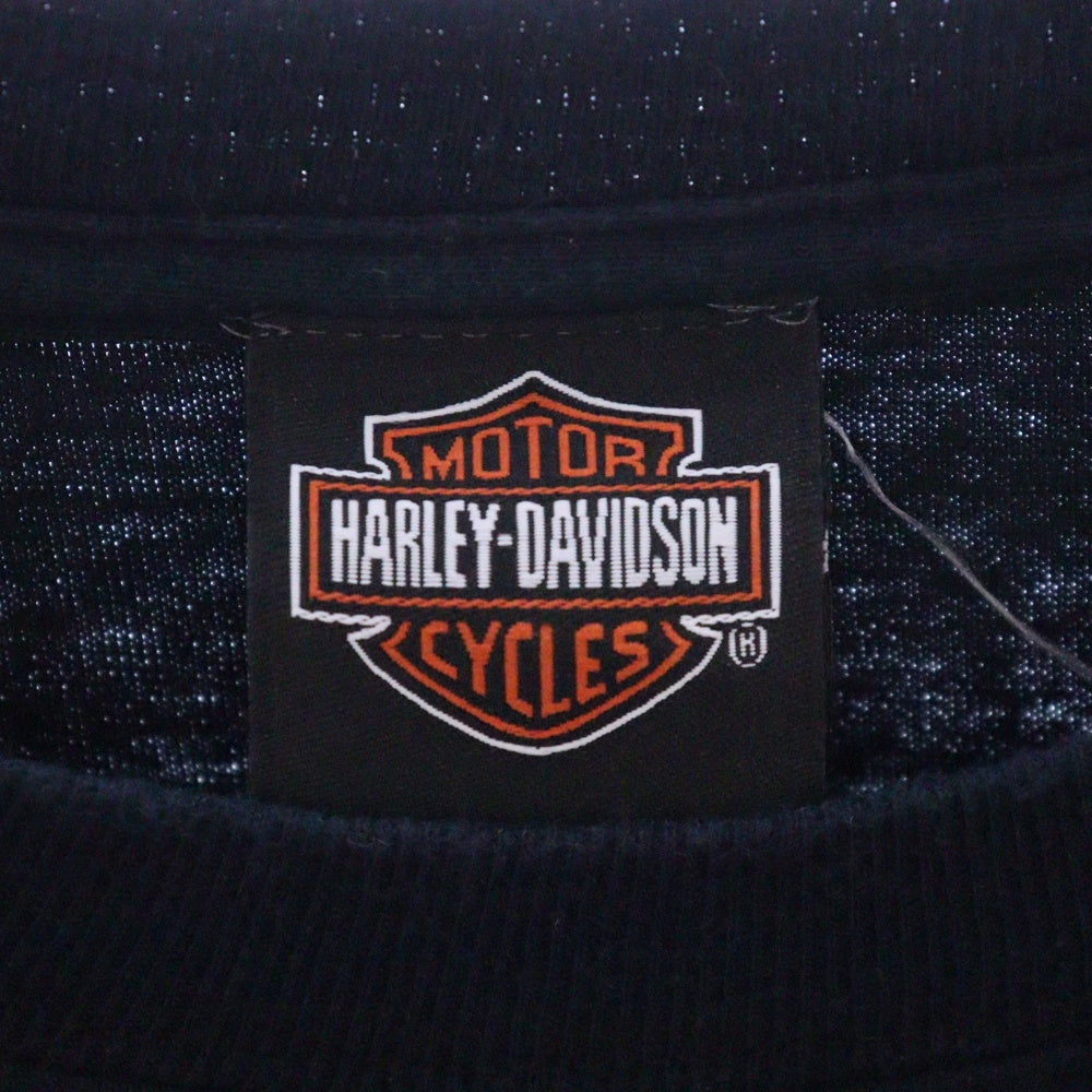 VINTAGE(ヴィンテージ) 00s HARLEY DAVIDSON MOUNTAIN CREEK DALTON L/S TEE ハーレーダビッドソン ロンT Tシャツ 長袖カットソー ブラック