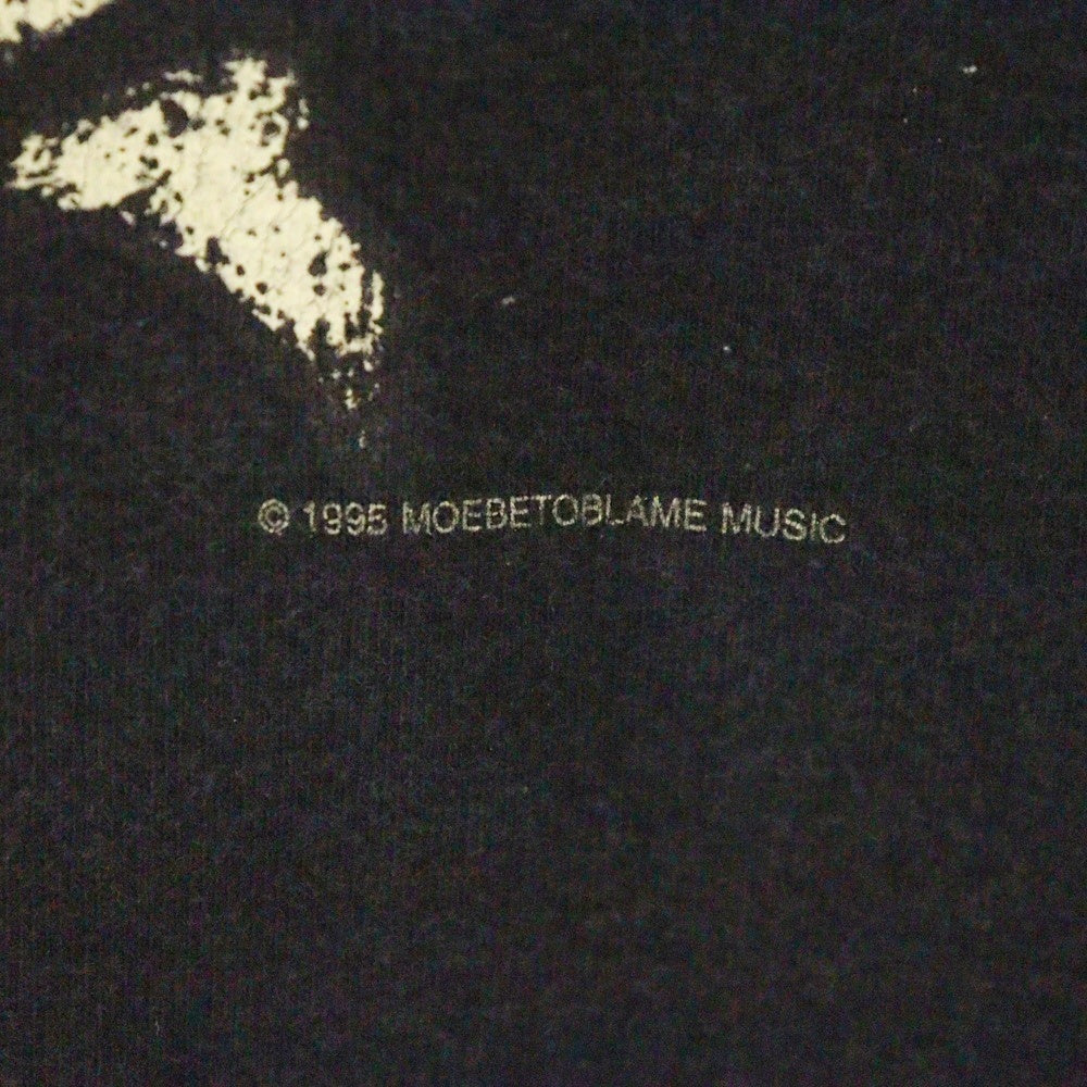 VINTAGE(ヴィンテージ) 90S RED HOT CHILI PEPPERS ”ONE HOT MINUTE L/S レッドホットチリペッパーズ ワンホットミニッツ ロングスリーブ 長袖Tシャツ ブラック