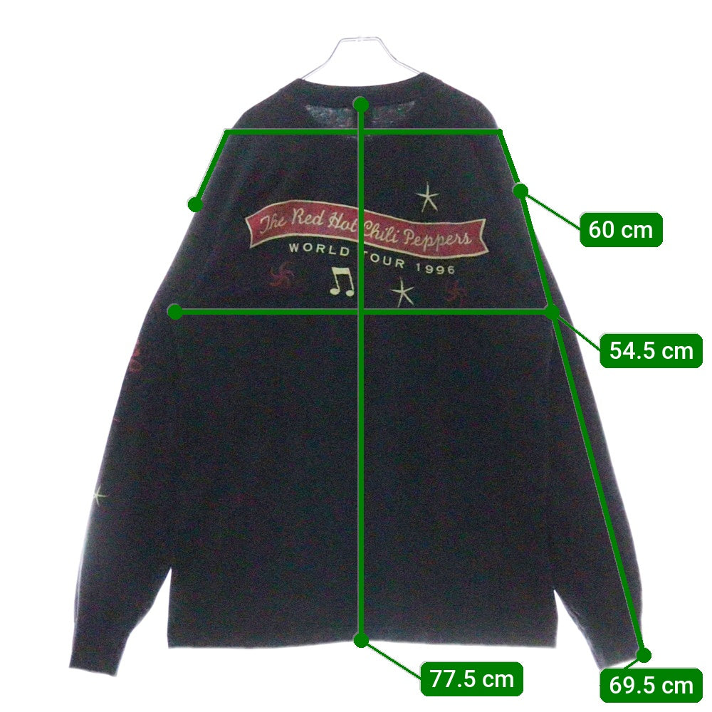 VINTAGE(ヴィンテージ) 90S RED HOT CHILI PEPPERS ”ONE HOT MINUTE L/S レッドホットチリペッパーズ ワンホットミニッツ ロングスリーブ 長袖Tシャツ ブラック