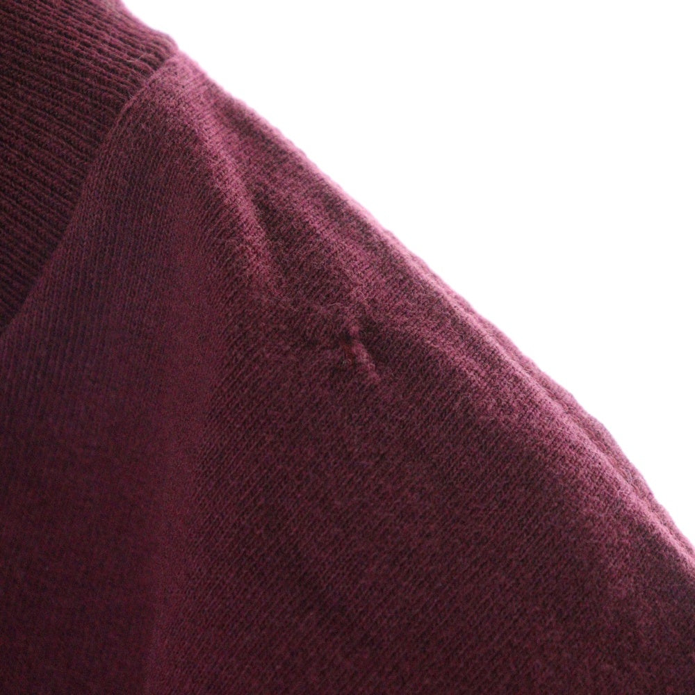 VINTAGE(ヴィンテージ) 90s Bjork Homogenic BURGUNDY TEE ビョーク フロントプリント半袖Tシャツ カットソー バーガンディ