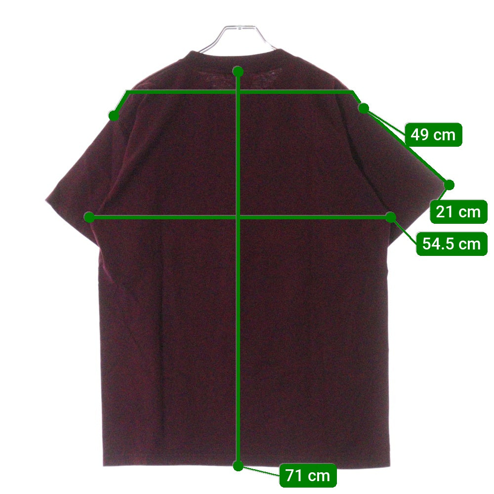 VINTAGE(ヴィンテージ) 90s Bjork Homogenic BURGUNDY TEE ビョーク フロントプリント半袖Tシャツ カットソー バーガンディ