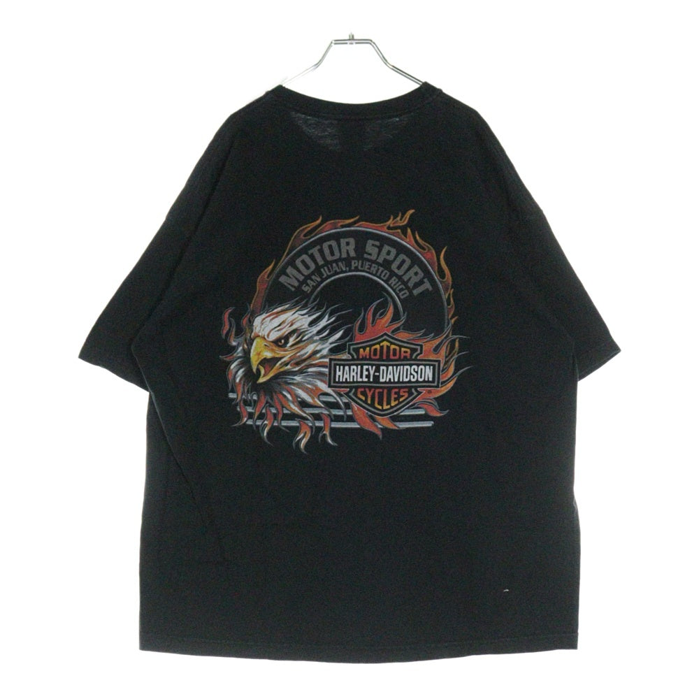 HARLEY DAVIDSON(ハーレーダビッドソン) 00s VINTAGE Eagle イーグル フレイム 両面プリント 半袖Tシャツ ブラック