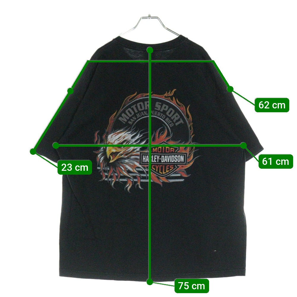 HARLEY DAVIDSON(ハーレーダビッドソン) 00s VINTAGE Eagle イーグル フレイム 両面プリント 半袖Tシャツ ブラック
