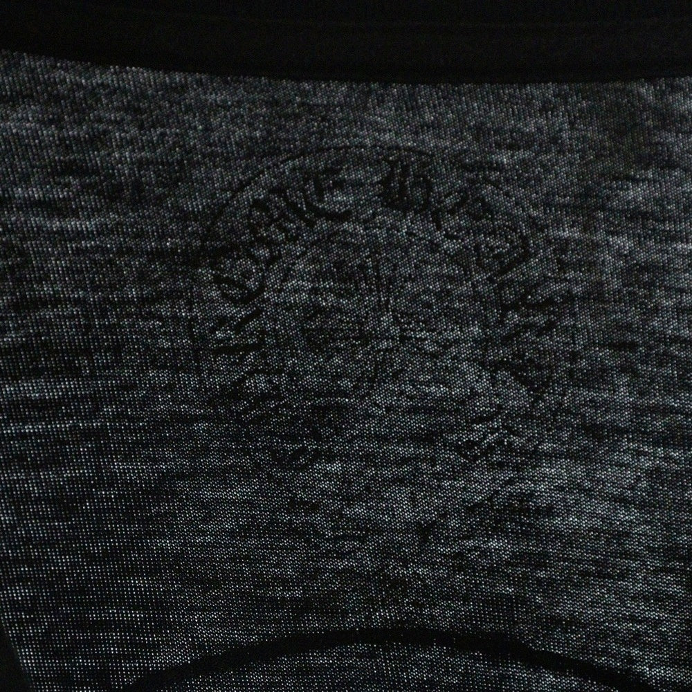 CHROME HEARTS(クロムハーツ) CH L S TEE 袖グラデーションロゴ バックホースシュー 長袖Tシャツ 長袖カットソー ブラック