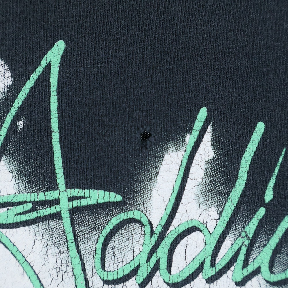 VINTAGE(ヴィンテージ) 00s JANE'S ADDICTION NOTHING'S SHOCKING ジェーンズアディクション Tシャツ 半袖カットソーブラック