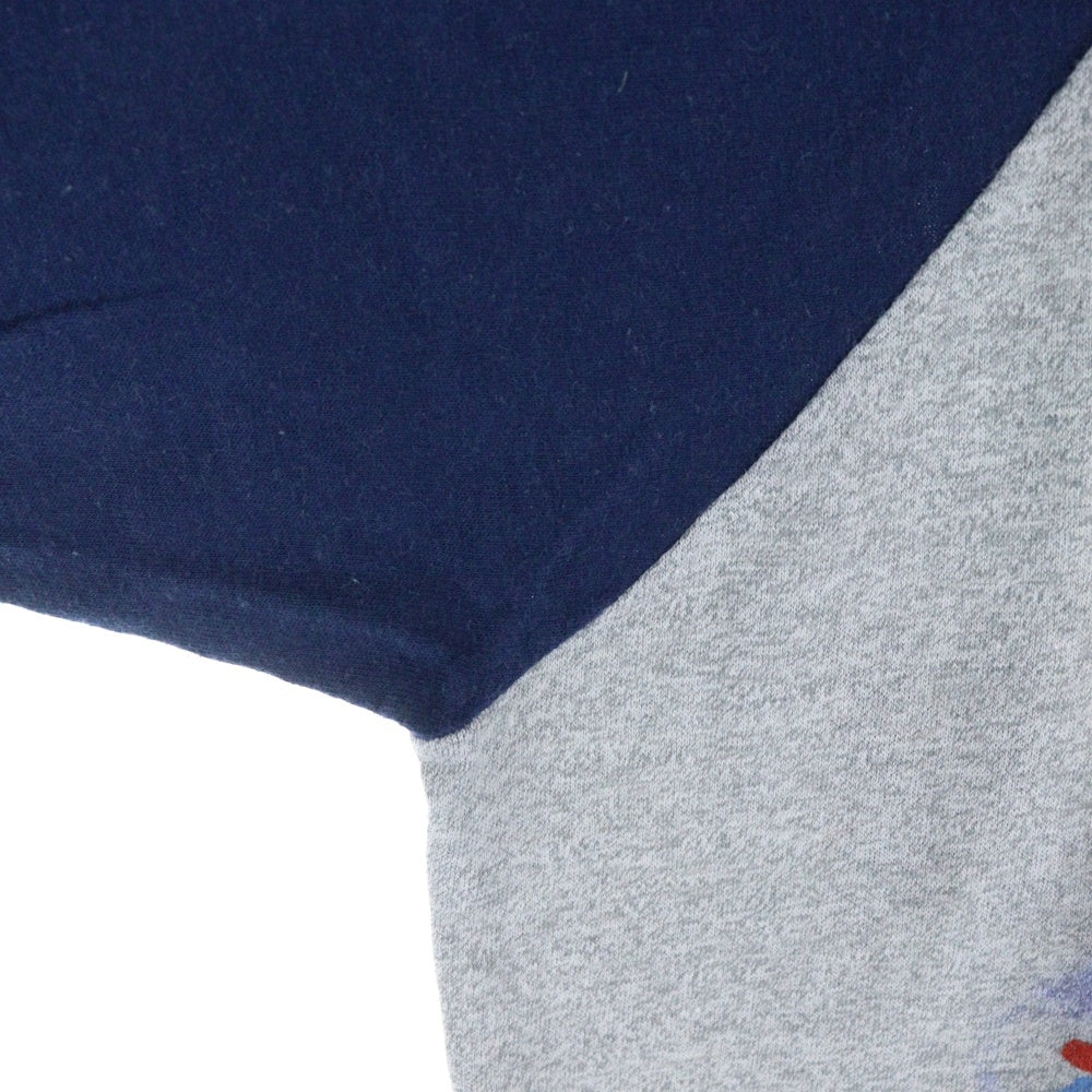 VINTAGE(ヴィンテージ) 80S Ozzy Osbourne Diary Of A Madman Promo オジーオズボーン ラグランスリーブ 長袖Tシャツ グレー