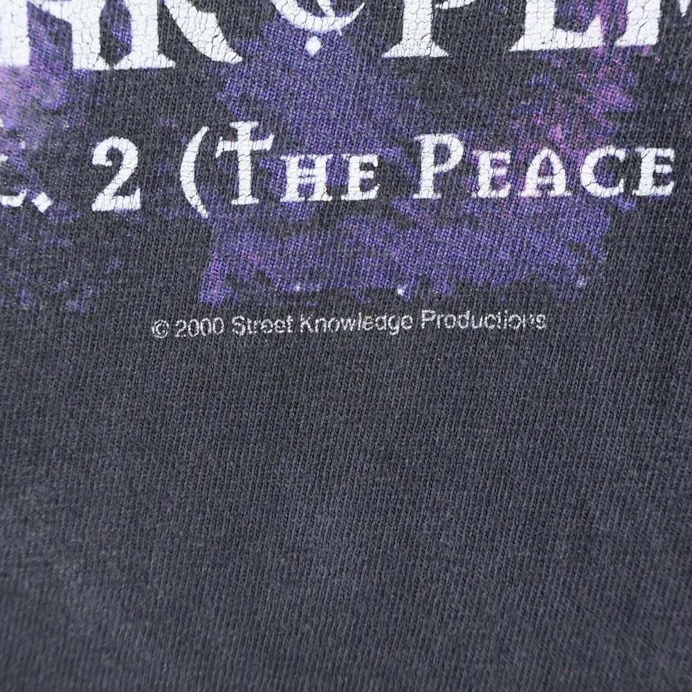 VINTAGE(ヴィンテージ) 90s ICE CUBE WAR & PEACE TEE アイスキューブ ウォー&ピース Tシャツ 半袖カットソー ブラック
