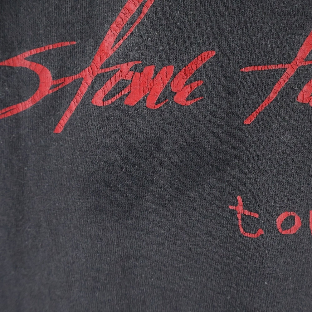 VINTAGE(ヴィンテージ) 90s STONE TEMPLE PILOTS TOUR 1994 ストーンテンプル 両面プリント 半袖Tシャツ カットソー ブラック