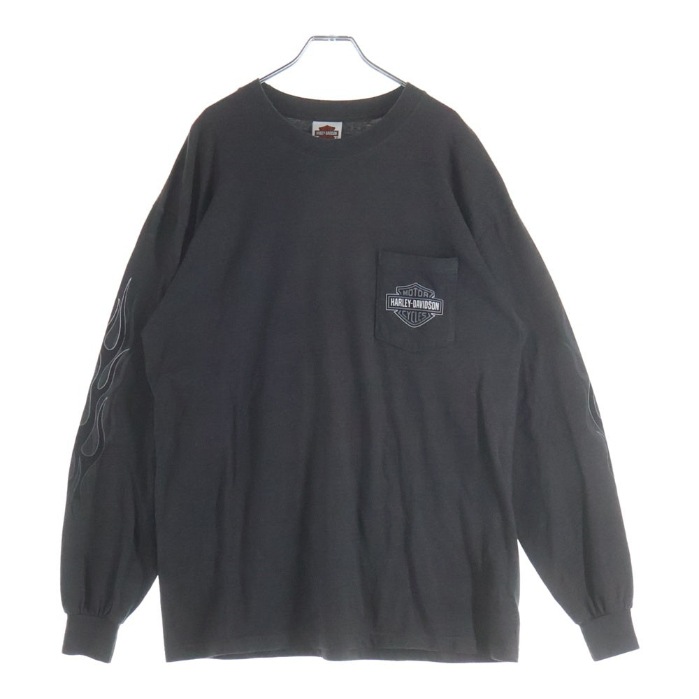 HARLEY DAVIDSON(ハーレーダビッドソン) Greenville Sleeve Flame 袖フレイム ロゴ 長袖Tシャツ ロンT グレー