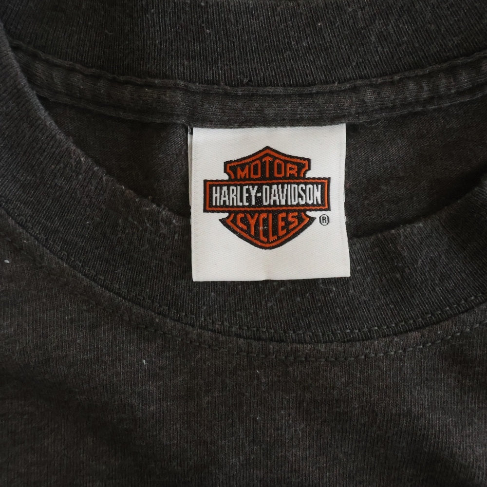HARLEY DAVIDSON(ハーレーダビッドソン) Greenville Sleeve Flame 袖フレイム ロゴ 長袖Tシャツ ロンT グレー