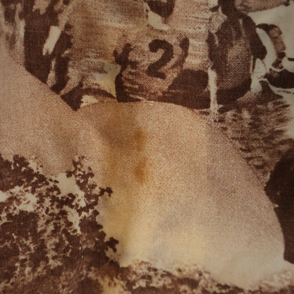 VINTAGE(ヴィンテージ) 50s ROOS BROS Picture Hawaiian Shirt ハワイアンシャツ 半袖シャツ アロハシャツ ピクチャー柄 フォトグラフ ブラウン系