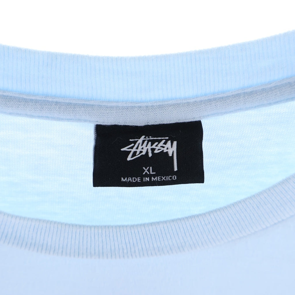 STUSSY(ステューシー) 00s OLD Hold The Medz Print Tee オールド ライオン プリント 半袖Tシャツ カットソー ライトブルー