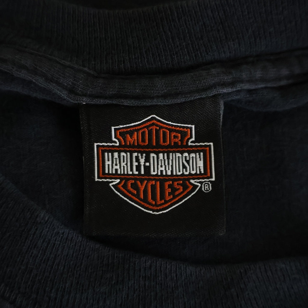HARLEY DAVIDSON(ハーレーダビッドソン) 00s ピンナップ ガール サンダーマウンテン 半袖Tシャツ カットソー ブラック