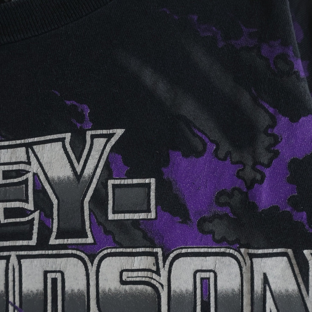 HARLEY DAVIDSON(ハーレーダビッドソン) 90s VINTAGE EAGLE FLAMES 1996 LICENSEDタグ イーグル 全面フレイム 半袖プリントTシャツ ブラック