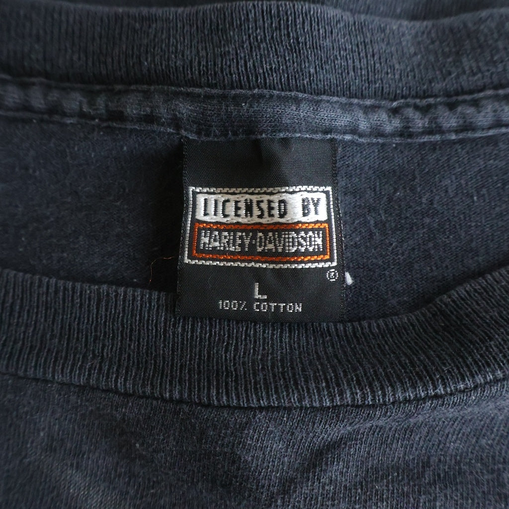 HARLEY DAVIDSON(ハーレーダビッドソン) 90s VINTAGE EAGLE FLAMES 1996 LICENSEDタグ イーグル 全面フレイム 半袖プリントTシャツ ブラック