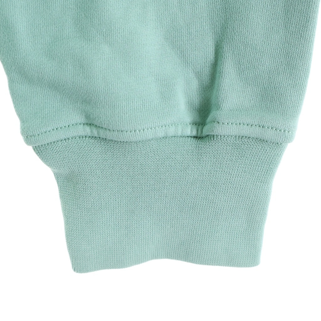 STONE ISLAND(ストーンアイランド) 24SS GARMENTDYED HALFZIP SWEAT ハーフジップ スウェット ミントグリーン 801561951 V0052