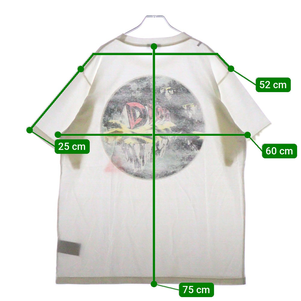 DIOR(ディオール) 23AW アステロディオール プリント半袖Tシャツ カットソー ホワイト 393J696D0817