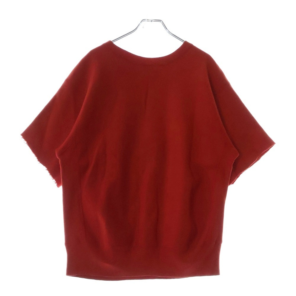 CHAMPION(チャンピオン) 70's REVERSE WEAVE GLEN ROCK ウイングフットプリント 半袖Tシャツ 袖カットオフ 赤単色タグ レッド