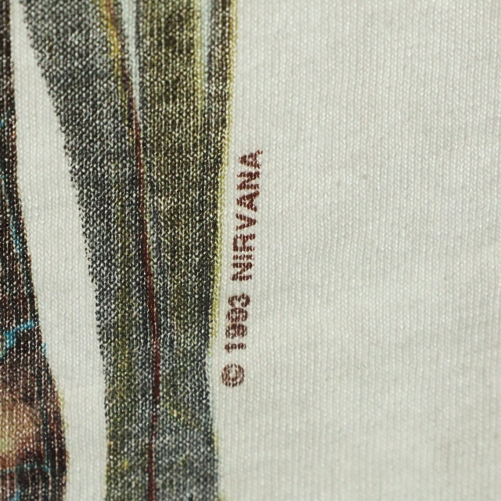 VINTAGE(ヴィンテージ) 90s NIRVANA IN UTERO ニルヴァーナ インユーテロ 両面プリント 半袖Tシャツ ホワイト