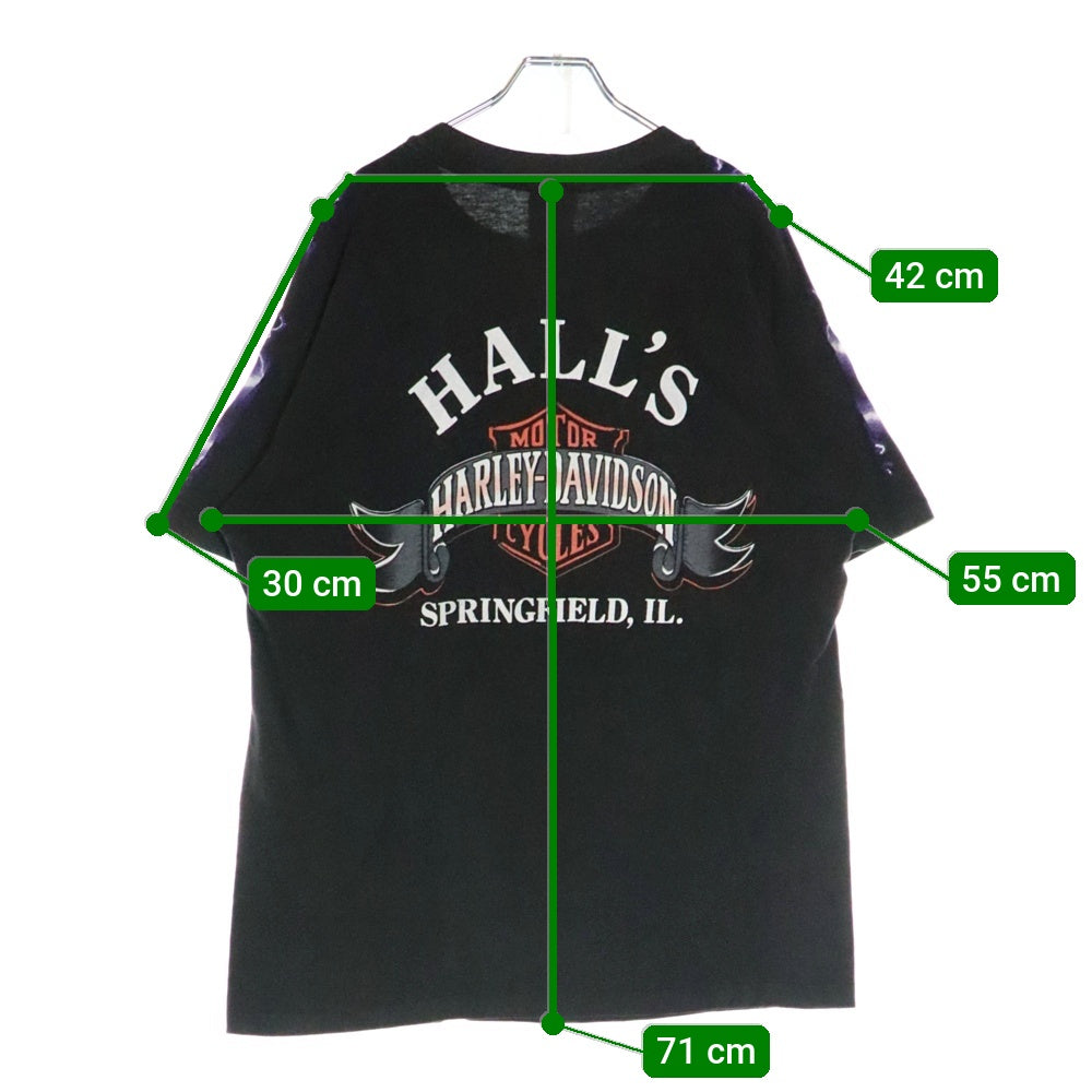 VINTAGE(ヴィンテージ) 90's HARLEY DAVIDSON THUNDER & LIGHTNING ハーレーダビッドソン サンダー&ライティング プリント半袖Tシャツ カットソー ブラック