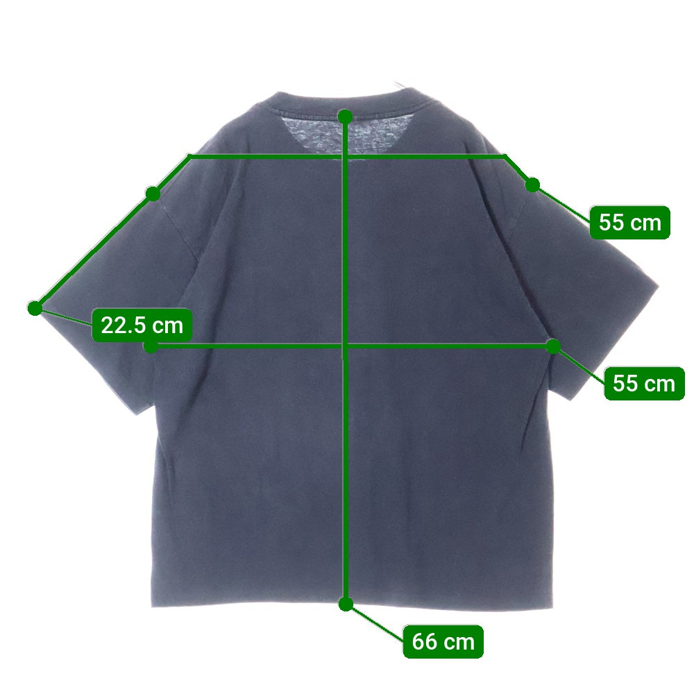 VINTAGE(ヴィンテージ) 90's ICE CUBE WESTSIDE CONNECTION TEE アイスキューブ ウエストサイドコネクション プリント半袖Tシャツ カットソー ブラック
