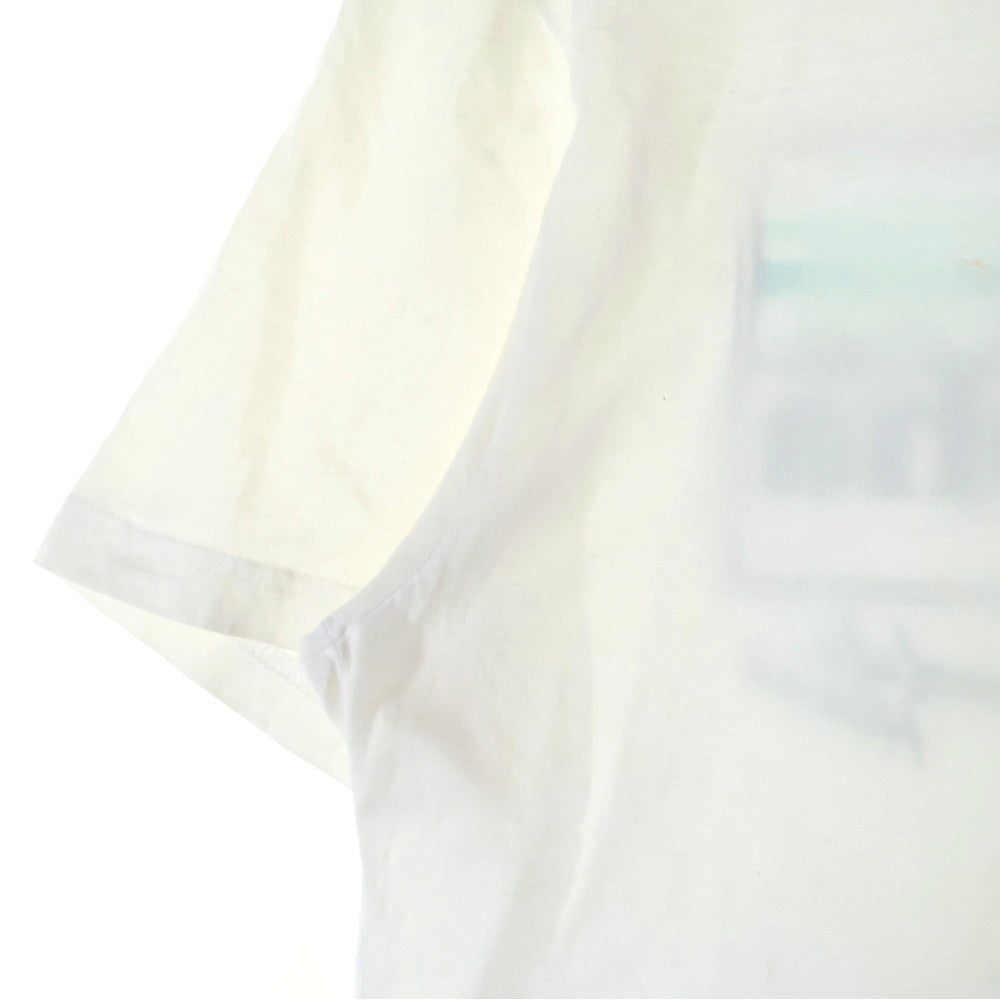 PATAGONIA(パタゴニア) バックロゴプリント 半袖シャツ カットソー ホワイト